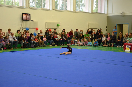 Exhibice 2012 - Klára Tamchynová 3, MG KV