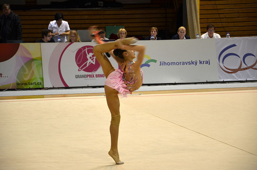 GrandPrix Brno 2013 - 01.JPG