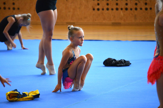 Letní soustředění TopGym 2016_03.JPG