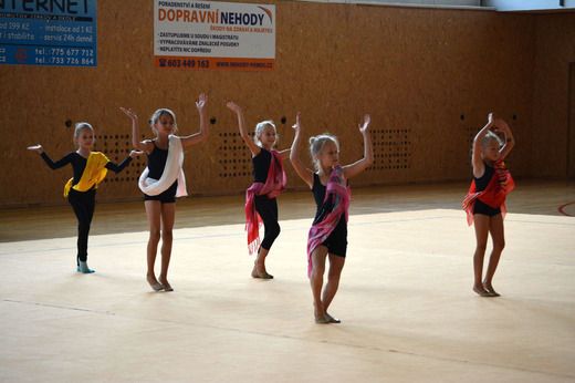 Letní soustředění TopGym 2016_30.JPG