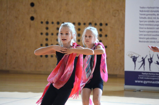 Letní soustředění TopGym 2016_31.JPG