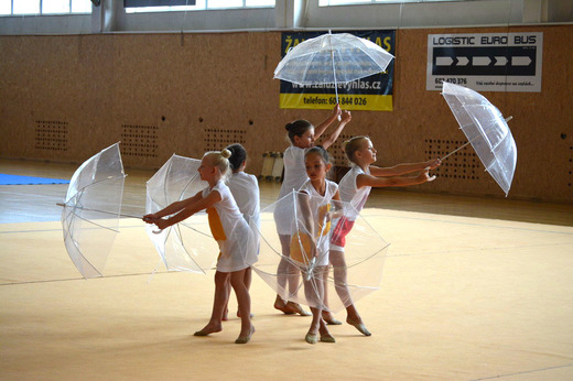 Letní soustředění TopGym 2016_42.JPG