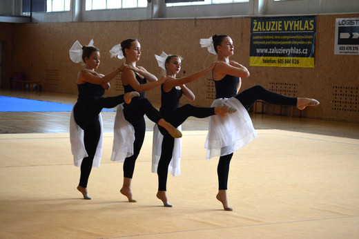 Letní soustředění TopGym 2016_57.JPG