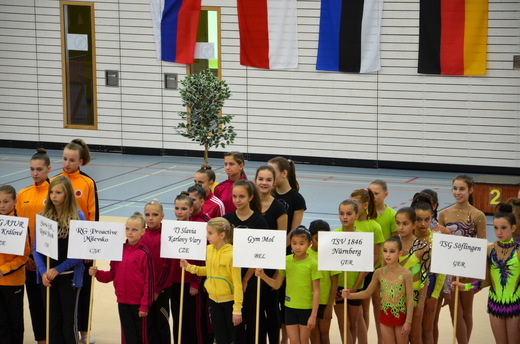 Lion Cup Hof 2012 - slavnostní nástup 3