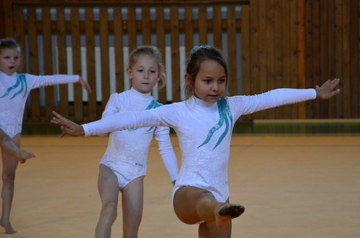 MG soustředění Aš 2013 - 39.jpg