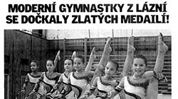 n-Tisk 2007 11 07 Deník zlato Plzeň.jpg
