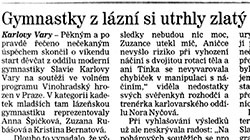 n-Tisk 2010 04 24 Deník Vinohrady.jpg
