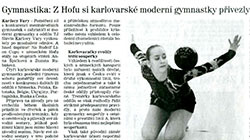 n-Tisk 2012 10 31 Deník Hof.jpg