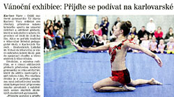 n-Tisk 2012 12 14 Deník Vánoční exhibice.jpg