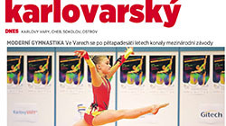 n-Tisk 2013 06 17 MF Dnes.jpg