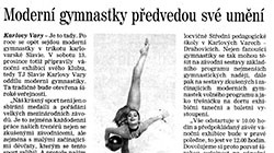 n-Tisk 2014 12 05 Deník Vánoční exhibice upoutávka.jpg