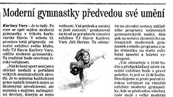 n-Tisk 2014 12 12 Deník Vánoční exhibice upoutávka.jpg
