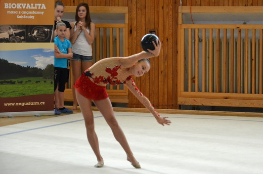 Plzeňský pohár 2012 - Zuzana Rubášová 6, MG KV