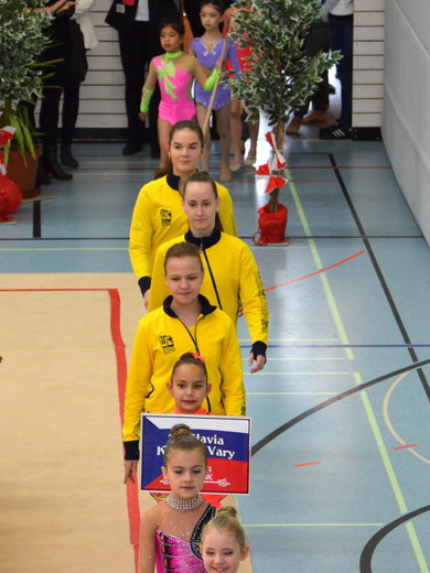 Rudolf Lion Cup Hof 2014 - slavnostní nástup 03.JPG