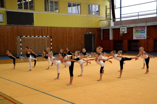 Soustředění Cheb 2015 - tanec malé 03.JPG