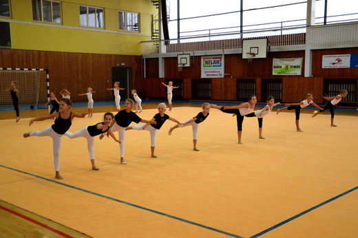 Soustředění Cheb 2015 - tanec malé 05.JPG