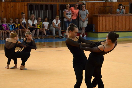 Soustředění Cheb 2015 - tanec velké 03.JPG