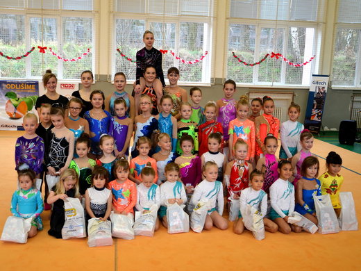 Společné foto moderních gymnastek TJ Slavia.JPG