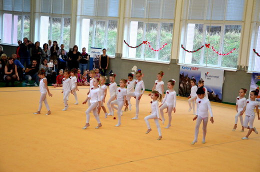 Taneční exhibice Rolničky 01.JPG