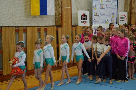 Tygřík Max nemůže chybět.JPG