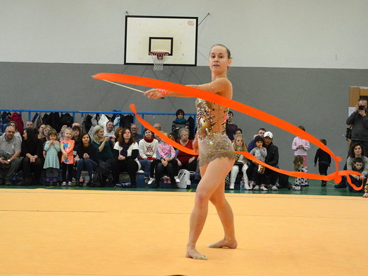 Vánoční exhibice 2013 - Anna Špičková se stuhou.jpg