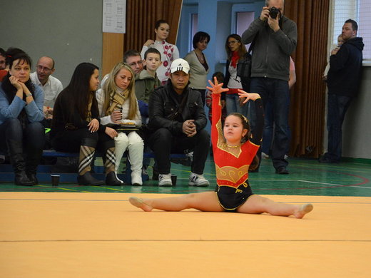 Vánoční exhibice 2013 - Kamilka Herianová.jpg