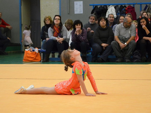 Vánoční exhibice 2013 - krásné zakončení sestavy.jpg