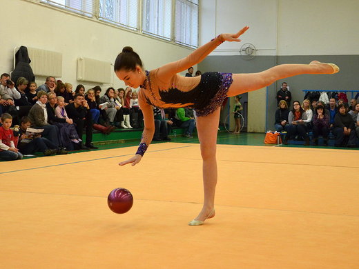 Vánoční exhibice 2013 - Kristina Bernatová elegantní jaky vždy.j