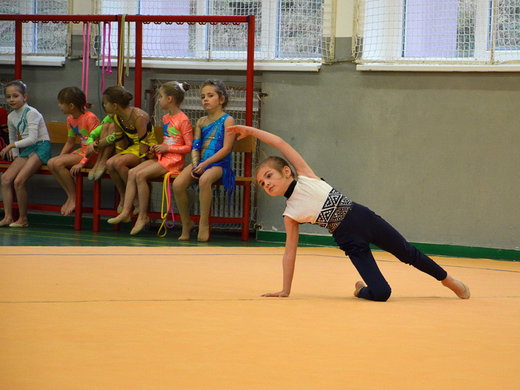 Vánoční exhibice 2013 - Nella Červenková.jpg