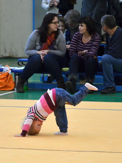 Vánoční exhibice 2013 - o přestávce si koberec zkusili i diváci.