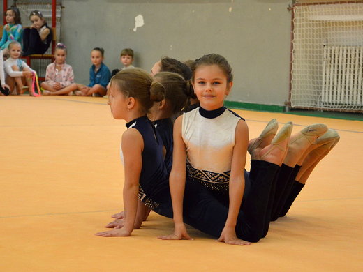 Vánoční exhibice 2013 - pódiovka Hvězdiček je připravena.jpg
