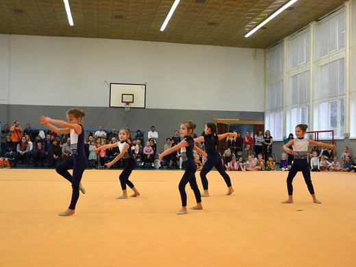 Vánoční exhibice 2013 - pódiovka Hvězdiček v plné parádě.jpg