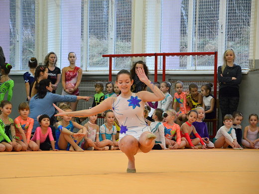 Vánoční exhibice 2013 - Zuzana Tuláková.jpg