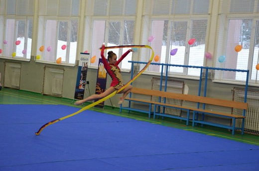 Vánoční exhibice a přebory 14.jpg