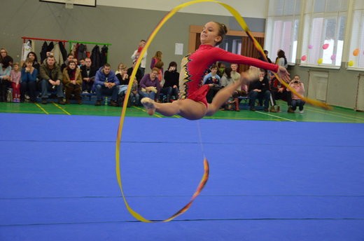 Vánoční exhibice a přebory 15.jpg