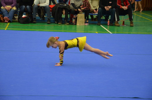 Vánoční exhibice a přebory 25.jpg