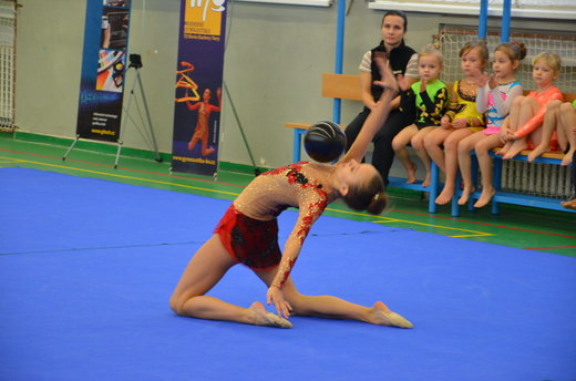 Vánoční exhibice a přebory 30.jpg