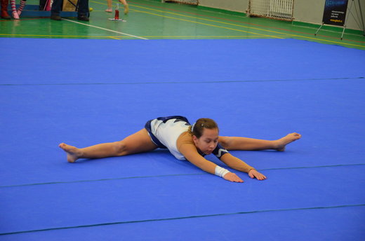 Vánoční exhibice a přebory 34.jpg