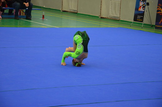 Vánoční exhibice a přebory 35.jpg