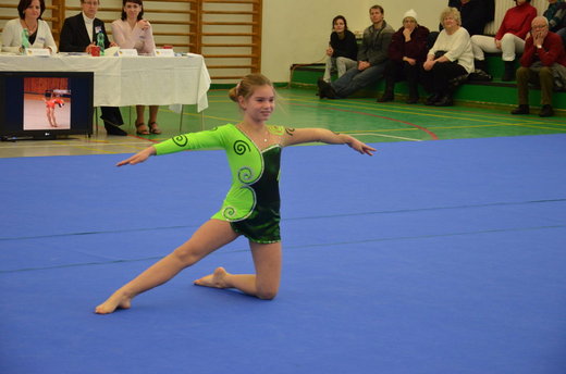 Vánoční exhibice a přebory 37.jpg