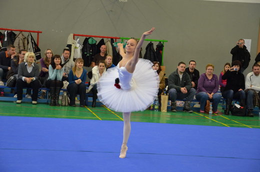 Vánoční exhibice a přebory 41.jpg