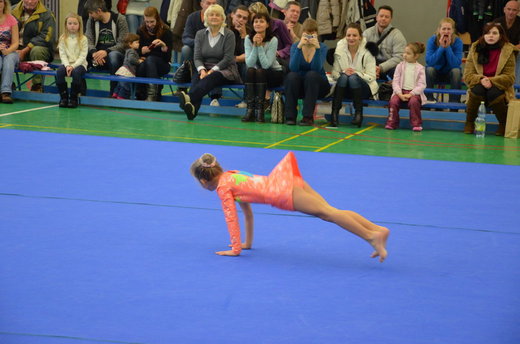 Vánoční exhibice a přebory 46.jpg