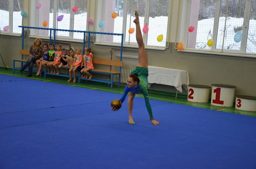 Vánoční exhibice a přebory 50.jpg