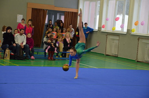 Vánoční exhibice a přebory 51.jpg