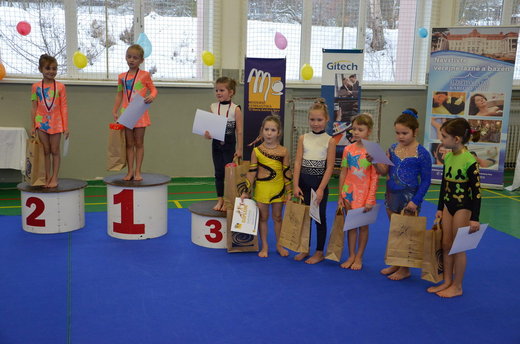 Vánoční exhibice a přebory 53.jpg