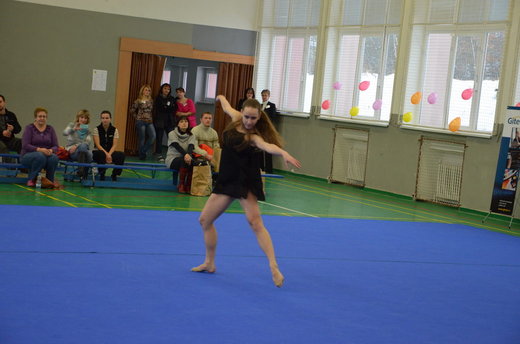 Vánoční exhibice a přebory 63.jpg