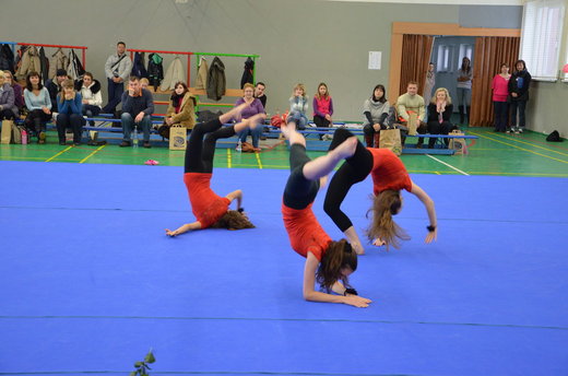 Vánoční exhibice a přebory 65.jpg
