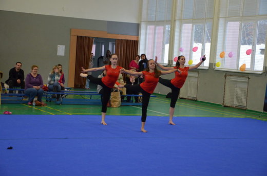 Vánoční exhibice a přebory 67.jpg