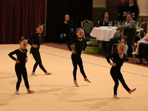 Vánoční Gala 2017 - Koťata 02.JPG